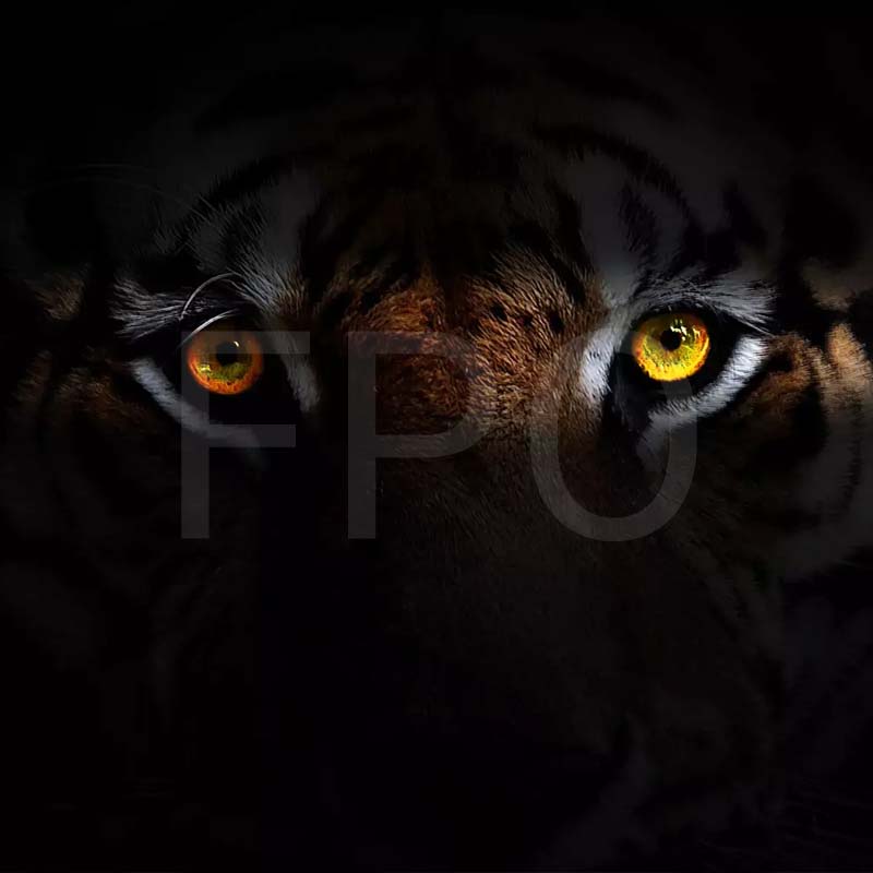 Tiger-Aesthetics-BioDerma-Leadership-FPO